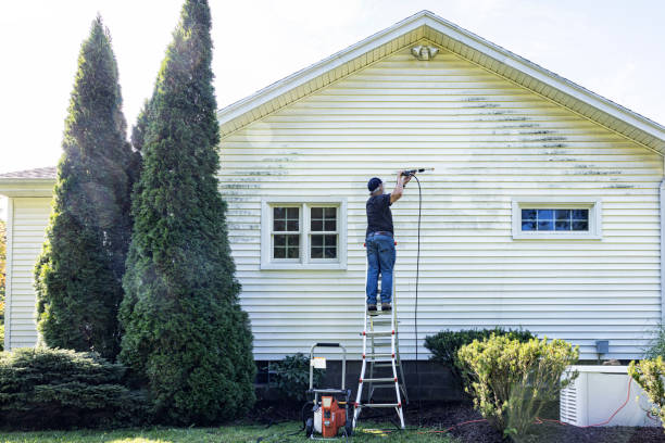 Best Gutter Cleaning  in Brownfields, LA